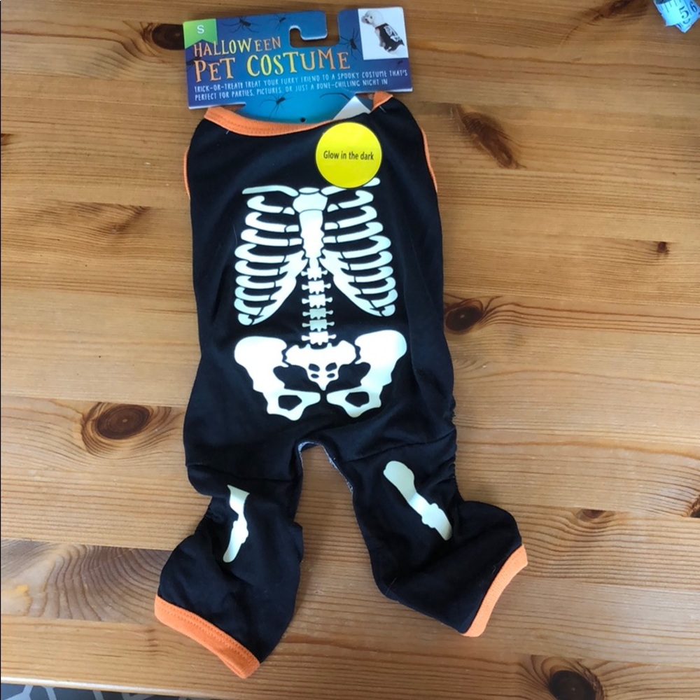 Halloween Pet Costume